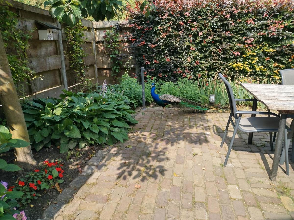 Bed Op De Reth Bed & Breakfast Baarle-Nassau Exterior photo